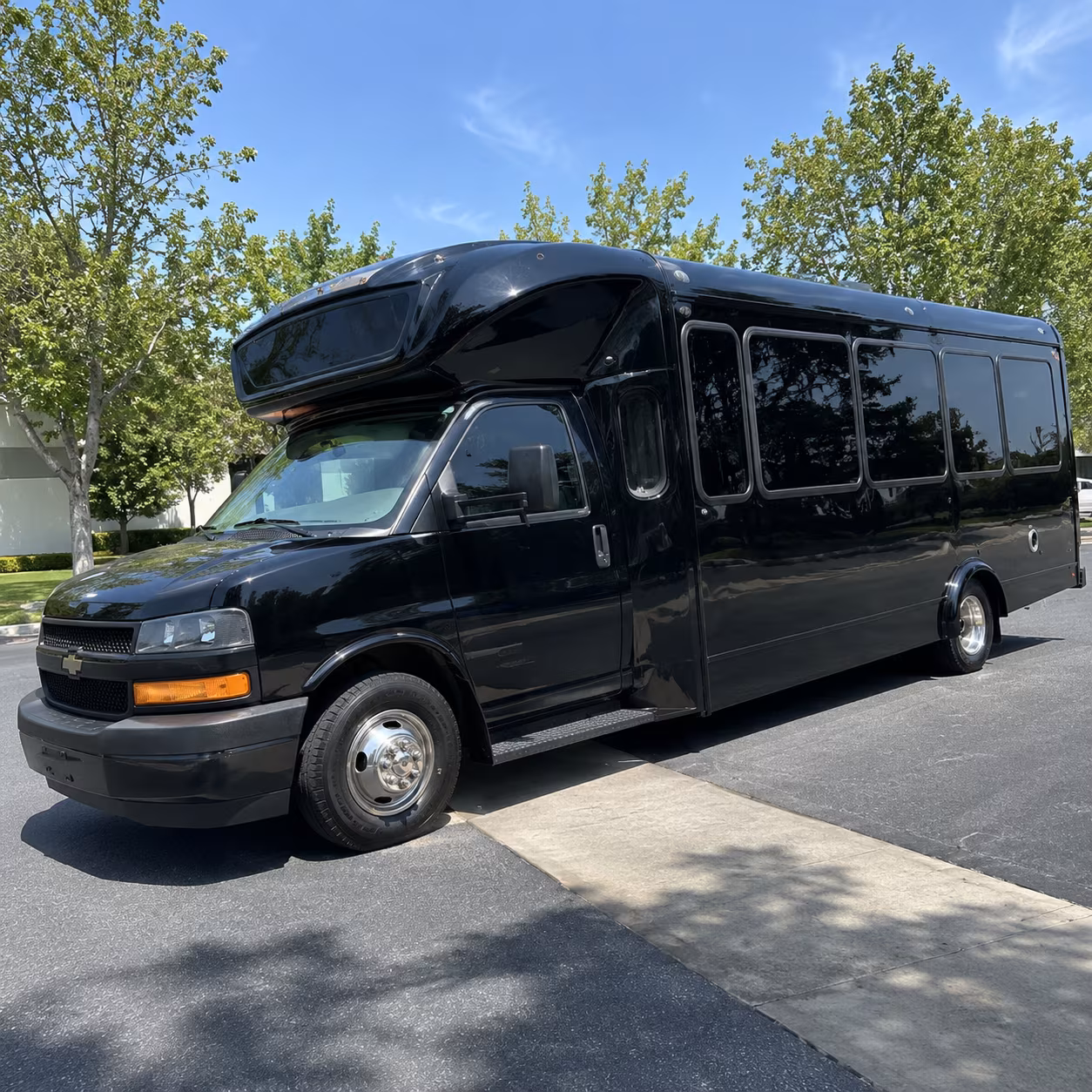 plano 15 passenger party bus