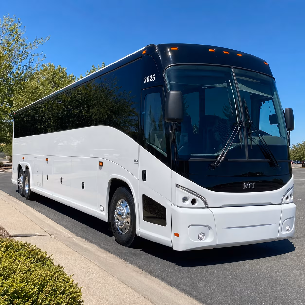 plano wedding transportation onboard seating